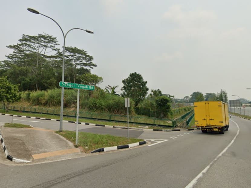 Four teenaged suspects allegedly punched and kicked a taxi driver after he dropped them off along Sungei Tengah Road.