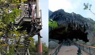 Rainforest Wild Asia: What to see and do at Singapore’s new wildlife park in Mandai