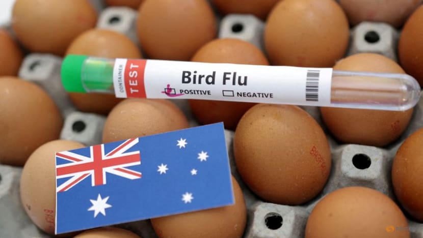 Bird flu hits McDonald's breakfasts in Australia