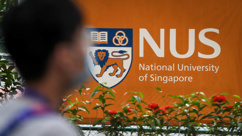 Man admits to stealing bags of laundry from NUS hall to look at female undergarments