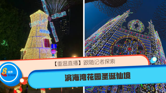 【重温直播】跟随记者探索滨海湾花园圣诞仙境