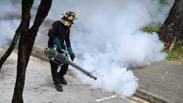 本地上周新增骨痛热症病例减少至102起