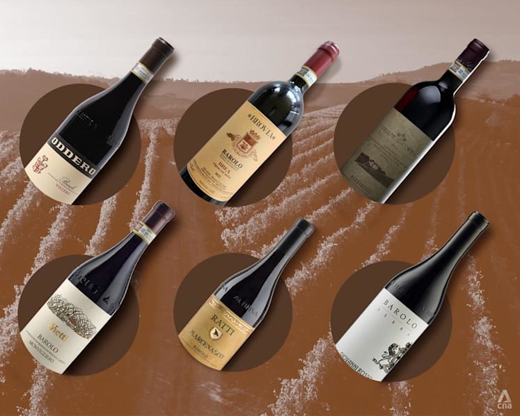 I tasted 300 Nebbiolo wines from Barolo, Barbaresco and Roero. These 6 producers stood out