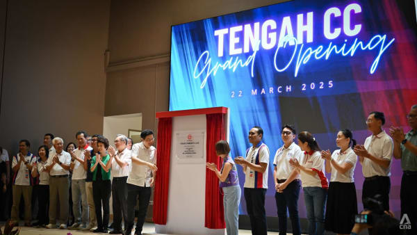 GE2025: Amenities, connectivity in Tengah have improved; could become 'better than Punggol', says PM Wong