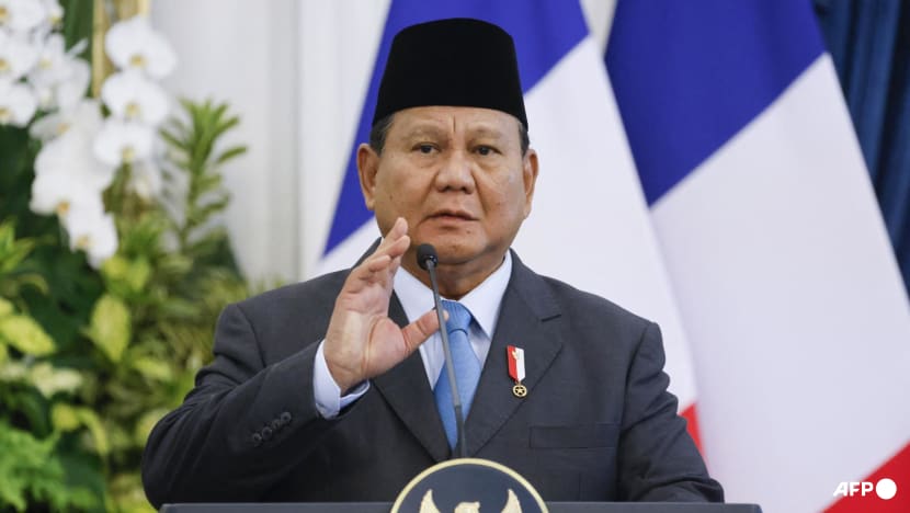 France, Indonesia call for Israeli-Palestinian progress as Macron visits France, Indonesia call for Israeli-Palestinian progress as Macron visits