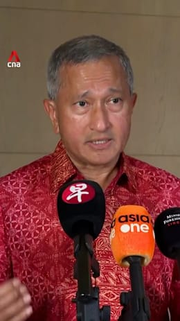Vivian Balakrishanan on relationship between Singapore and Indonesia now
