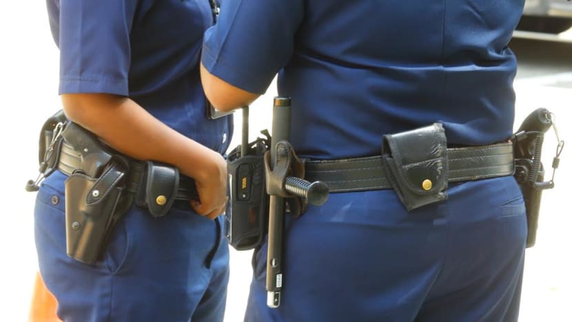 3 SPF officers quarantined, 25 police dogs negative for Covid-19 after para-vet tested positive