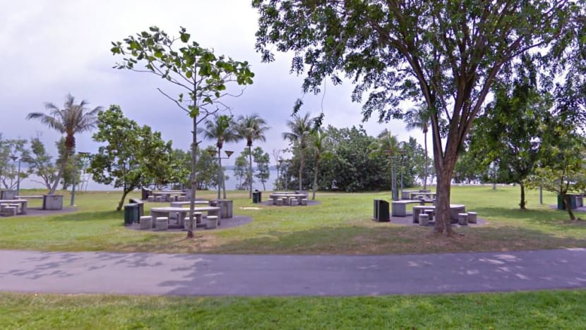 Police investigating after foetus found at Pasir Ris Park