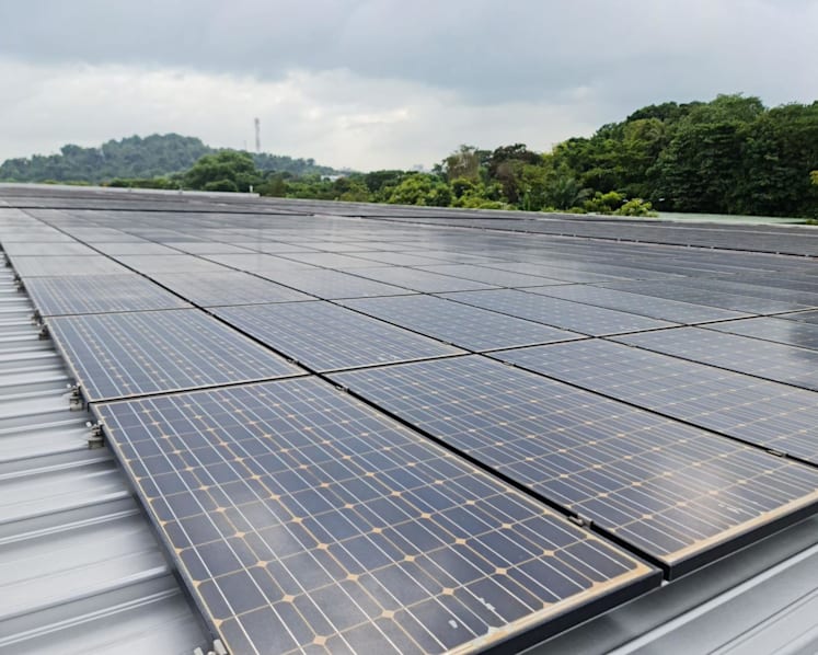 Sentosa, RWS to install solar panels at 18 locations as part of carbon neutrality efforts