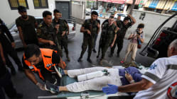 Related article image