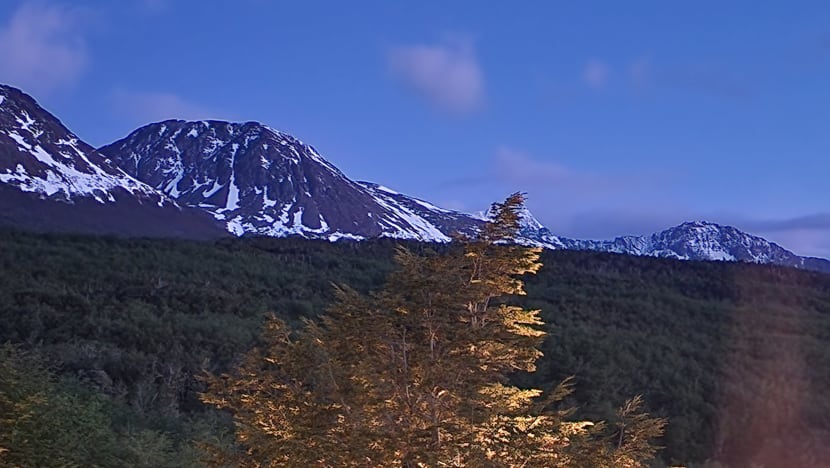 Related article image