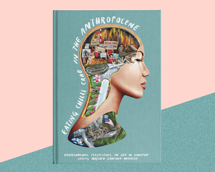 Environment, human activity and chilli crab — a Singapore book by youths explores their links and more