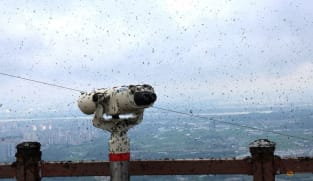 'Lovebugs' are swarming Seoul as South Korea warms, and residents aren't happy 
