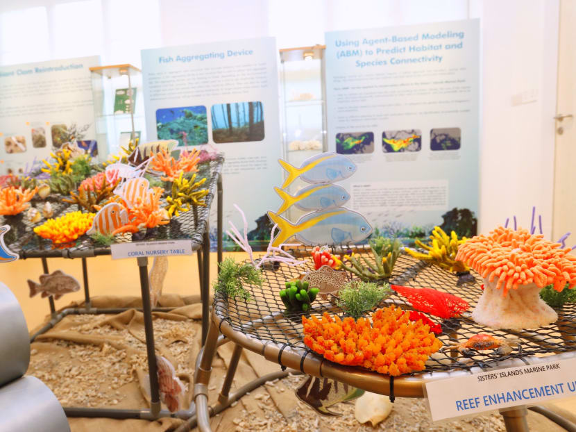 Sisters’ Island Park Public Gallery opens