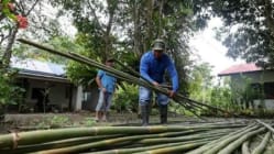 Related article image