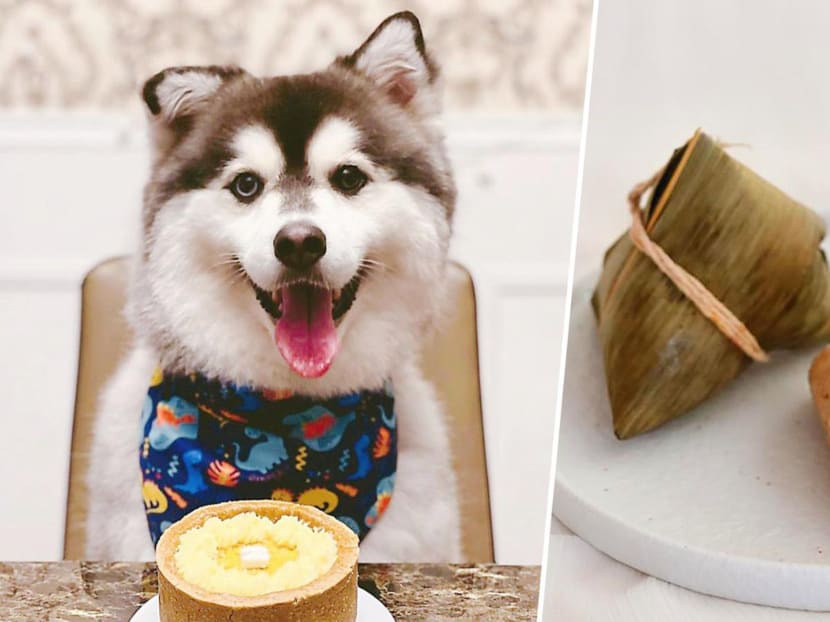 Home-based seller offers punny &lsquo;bark zhang&rsquo; for dogs and pet-friendly Mao Shan Wang cake