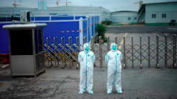Related article image