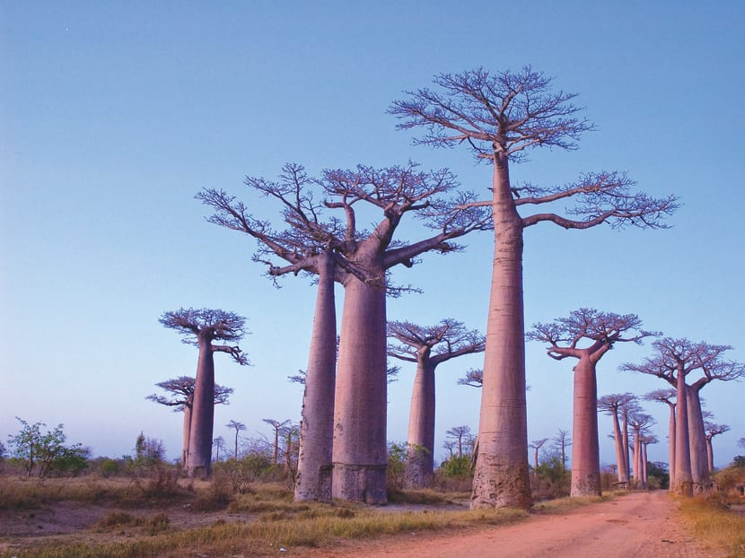 Travel 101: Antananarivo