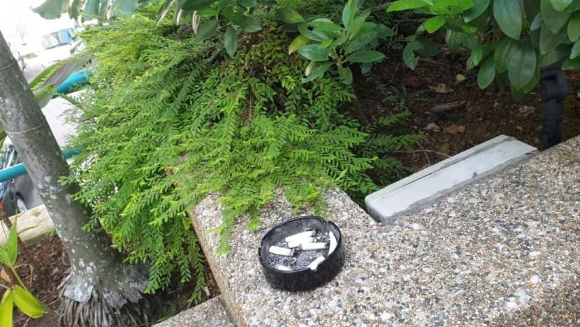 Disobeying ‘toothless’ security guards, some condo residents flout mask requirement, safe-distancing rules