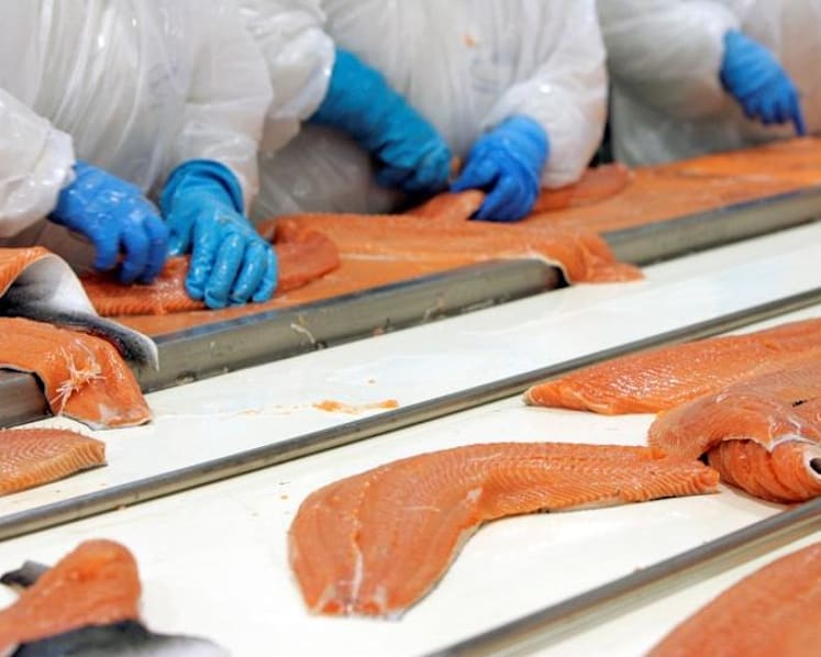 Most Norwegian salmon in Singapore safe to consume, say industry players after batch recall