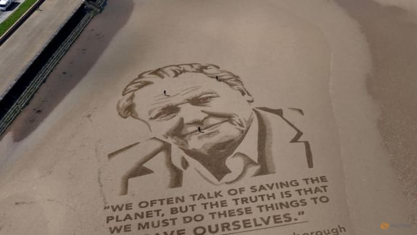 David Attenborough turns 100, 'overwhelmed' by birthday wishes
