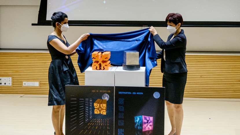 Two artworks from Singapore to be permanently displayed in space in 2025