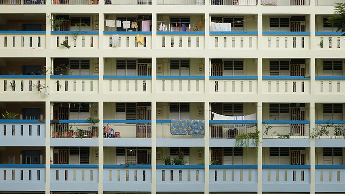 Commentary: Mind the varied impact of HDB schemes on different groups of  home owners - CNA