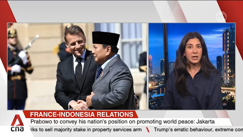 Indonesia's Prabowo to meet France's Macron at Elysee Palace to discuss strategic cooperation