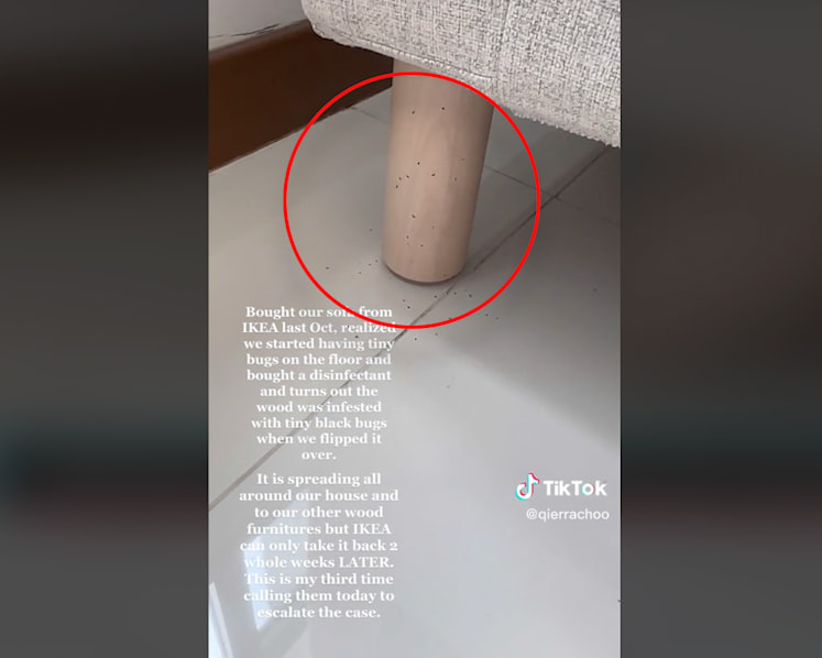 #trending: TikToker complains about bugs found on Ikea S’pore sofa; firm probing second similar case in 2 months 