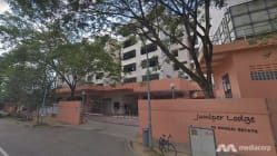 Related article image