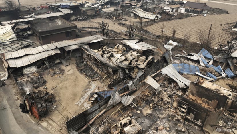 'I can only cry': Homes, cultural heritage sites destroyed in South Korea's deadliest wildfires on record