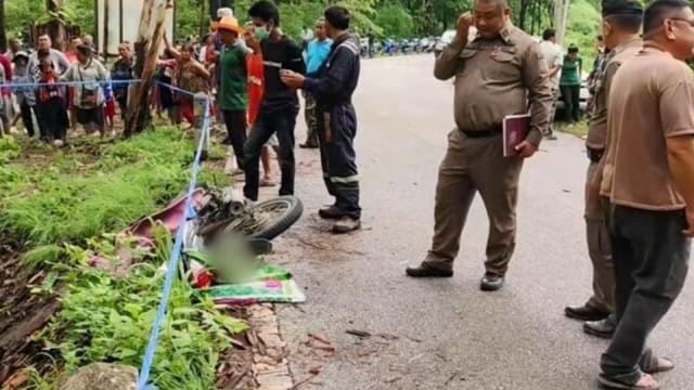 泰男凌晨捕猎青蛙 返家途中疑遭野象袭击身亡