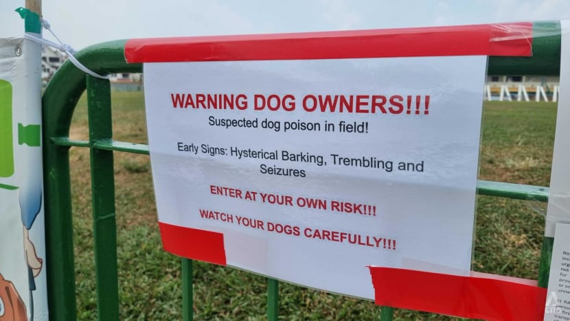 Poisoning 'most likely cause' of dog deaths linked to Parry Avenue field Poisoning 'most likely cause' of dog deaths linked to Parry Avenue field