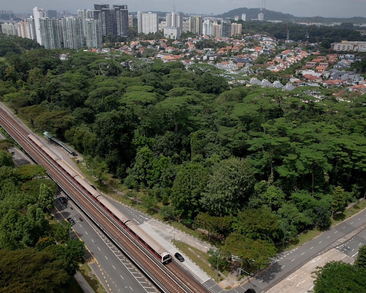 Are you prepared to give up a home to save a forest?