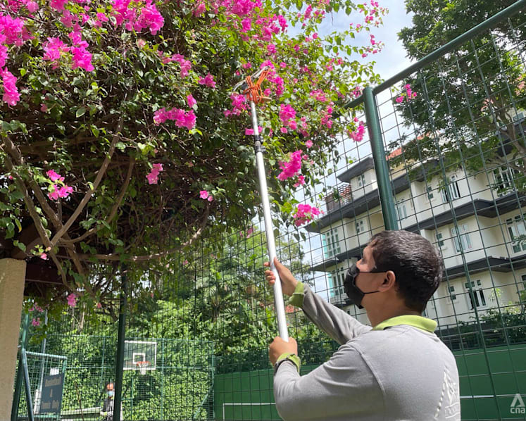 Baseline wages for landscape maintenance workers set to rise by 6% on average each year