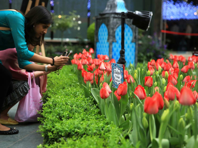 Tulipmania Rediscovered at Gardens By The Bay. Photo: Koh Mui Fong Tulipmania Rediscovered at Gardens By The Bay. Photo: Koh Mui Fong