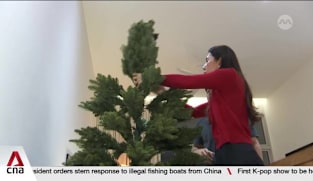 Retailers in Singapore see growing demand for slimmer, apartment-friendly Christmas trees