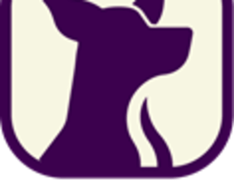 One Dog's Legacy Becomes GAMGEE