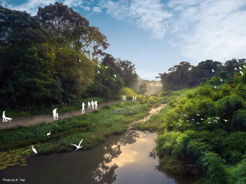 An artist's impression of the upcoming Clementi Nature Trail, using a photograph by K Yap, along Clementi Forest stream. An artist's impression of the upcoming Clementi Nature Trail, using a photograph by K Yap, along Clementi Forest stream.