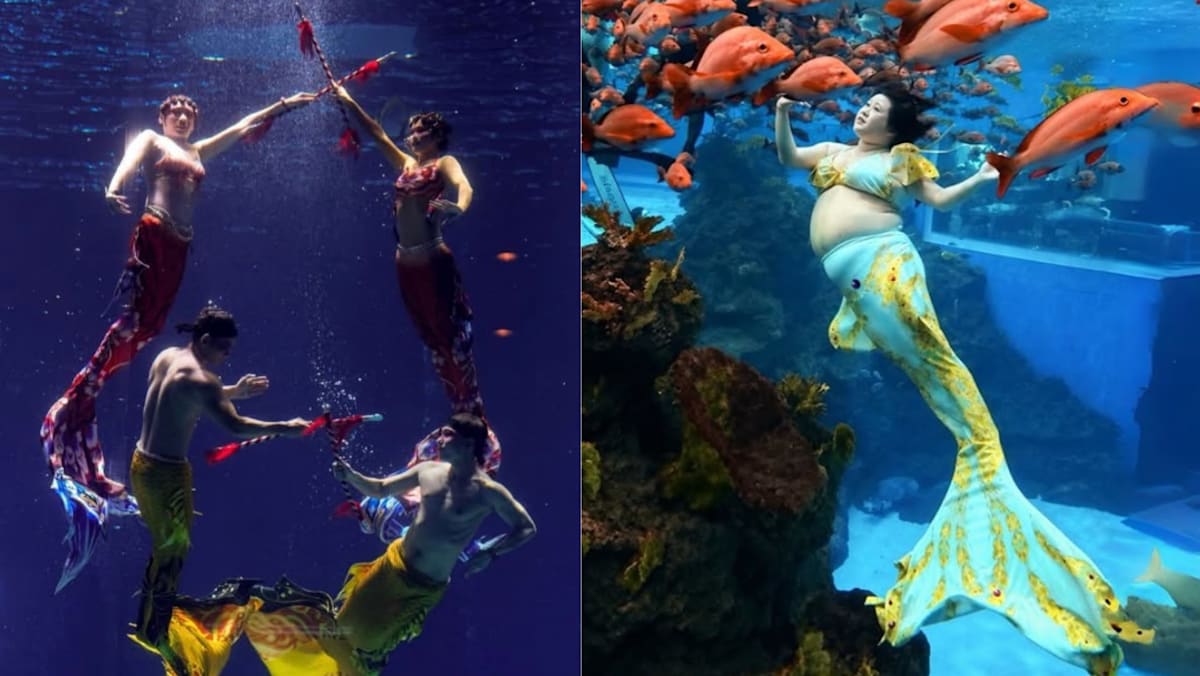 There's A Mermaid Diving World Cup, And A S'porean Competed In It