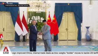 Chinese Premier Li Qiang has reaffirmed ties with Indonesia, after meeting President Prabowo
