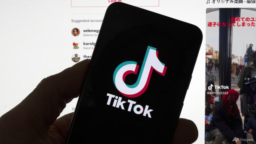 Commentary: The tussle over TikTok isn’t just geopolitics Commentary: The tussle over TikTok isn’t just geopolitics