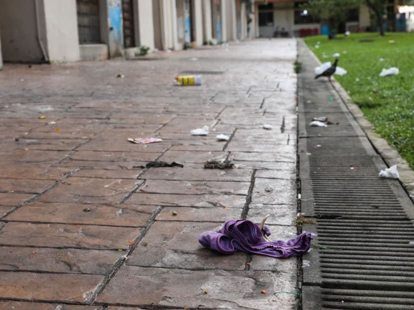 NEA had investigated an average of 29,700 high-rise littering instances annually between 2019 and 2021. This is a 77 per cent increase compared to the average of 16,800 instances annually from 2016 to 2018.