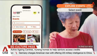 Singaporeans can use S$100 SG Culture Pass credits for over 400 arts, heritage programmes