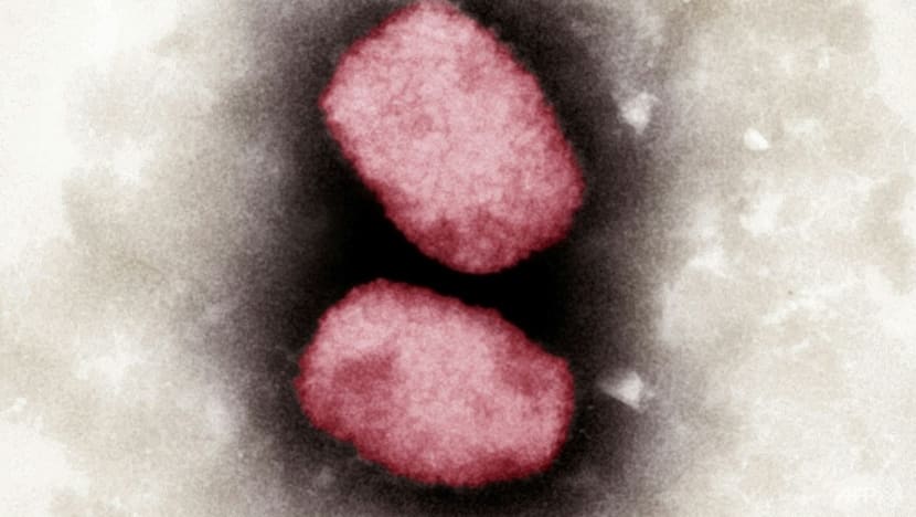 Monkeypox: MOH reaching out to ‘at-risk population’, including those engaging in high-risk sexual activities Monkeypox: MOH reaching out to ‘at-risk population’, including those engaging in high-risk sexual activities