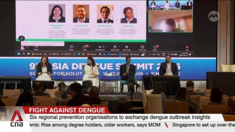 Fight against dengue: New regional framework to speed up adoption of prevention strategies 