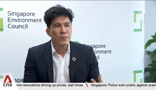 Singapore Environment Council warns that green movement may lose steam 