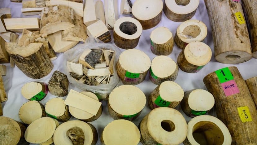 Thai police arrest 9 in largest ivory seizure in decade