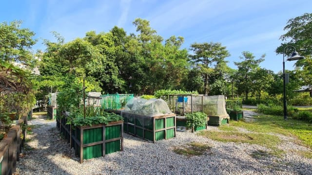 本地多座公园再开放190多个花床 供公众申请租用