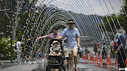 Related article image
